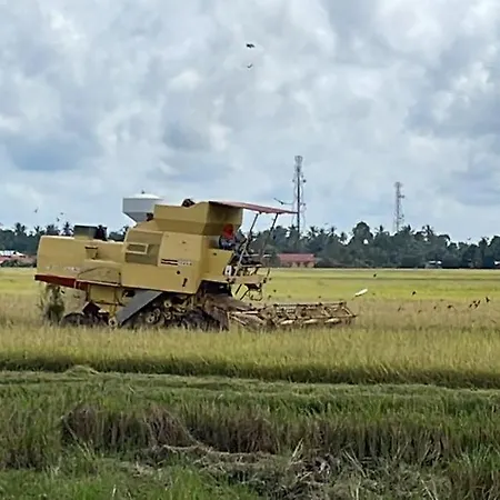 Izz Homestay Sawah Padi Sungai Besar ! Exterior photo