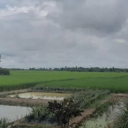 Izz Homestay Sawah Padi Sungai Besar ! Exterior photo