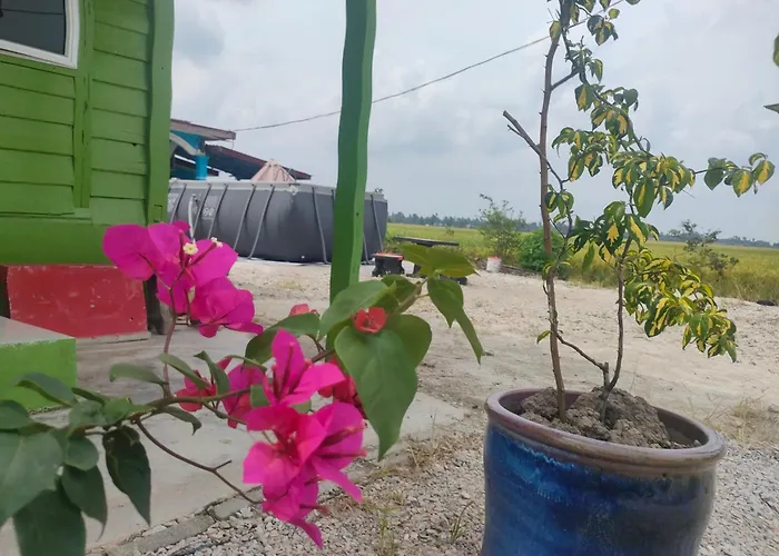 Izz Homestay Sawah Padi Sungai Besar !