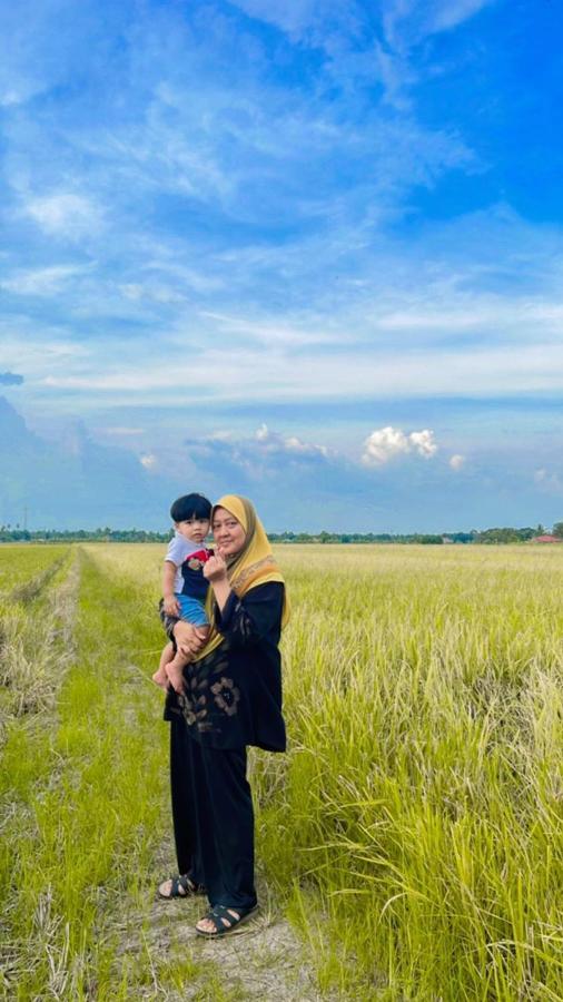 Izz Sawah Padi !