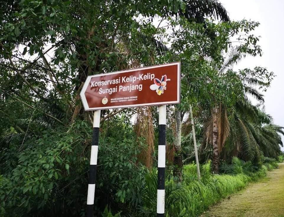 Izz Sawah Padi ! * Sungai Besar