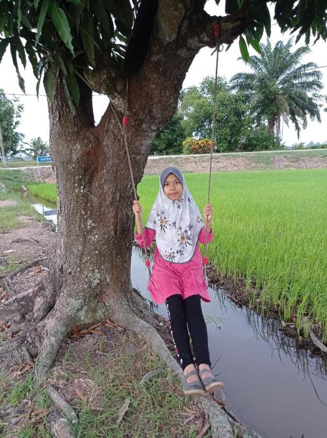 Chalet Izz Sawah Padi ! *