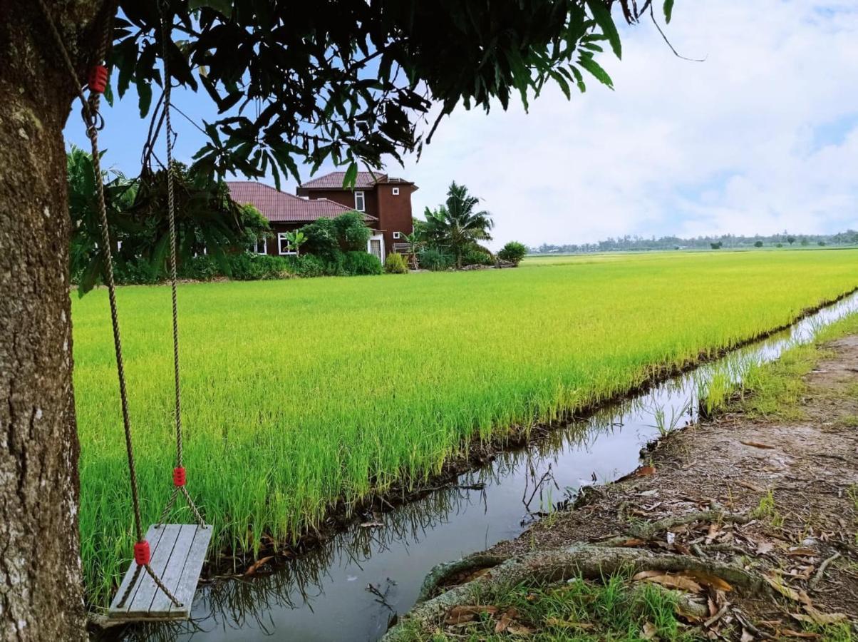 Izz Sawah Padi ! *
