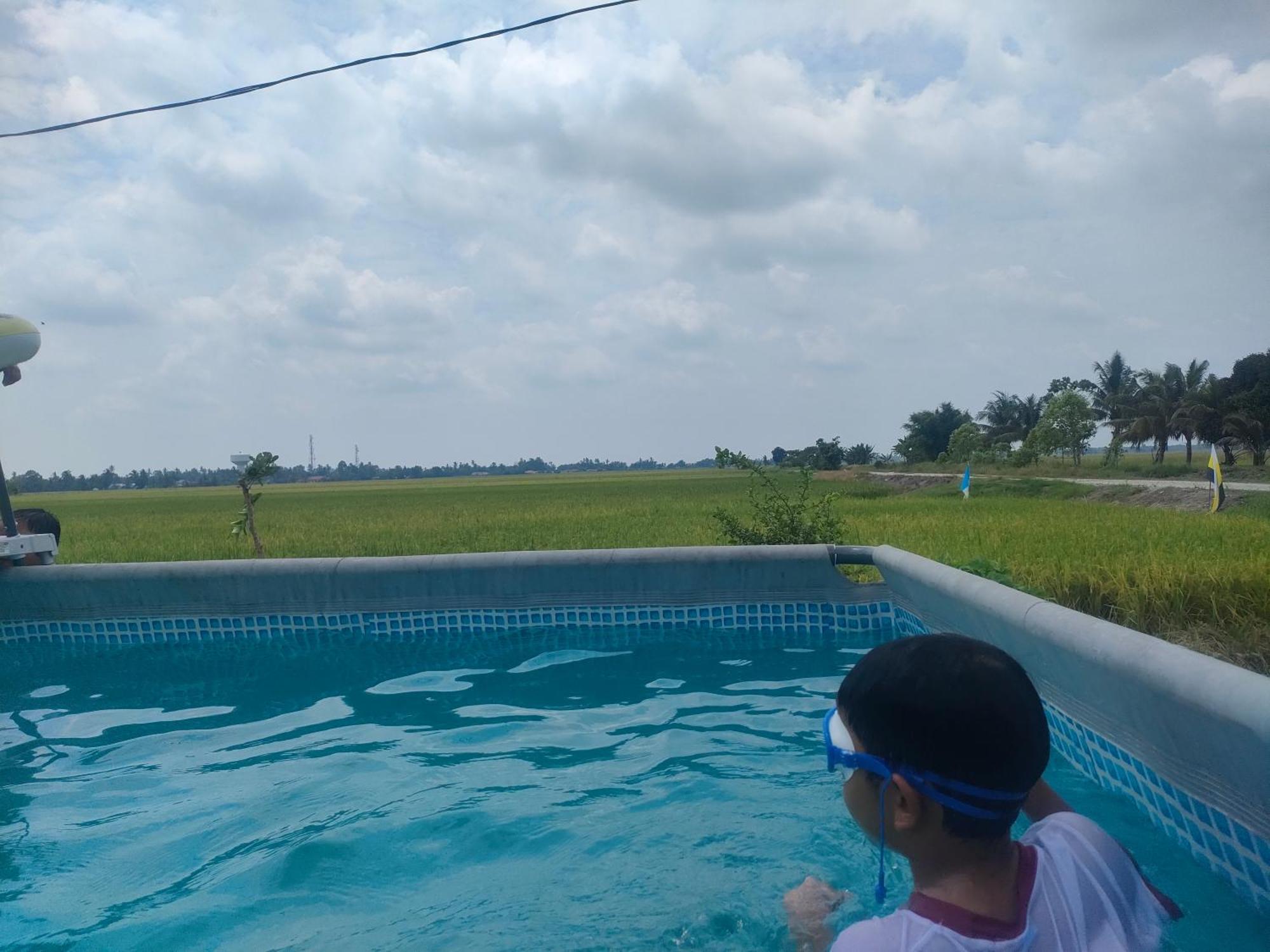 Izz Sawah Padi !