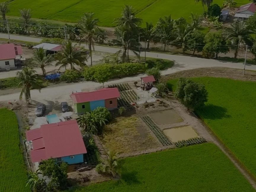 Izz Sawah Padi ! Chalet Sungai Besar
