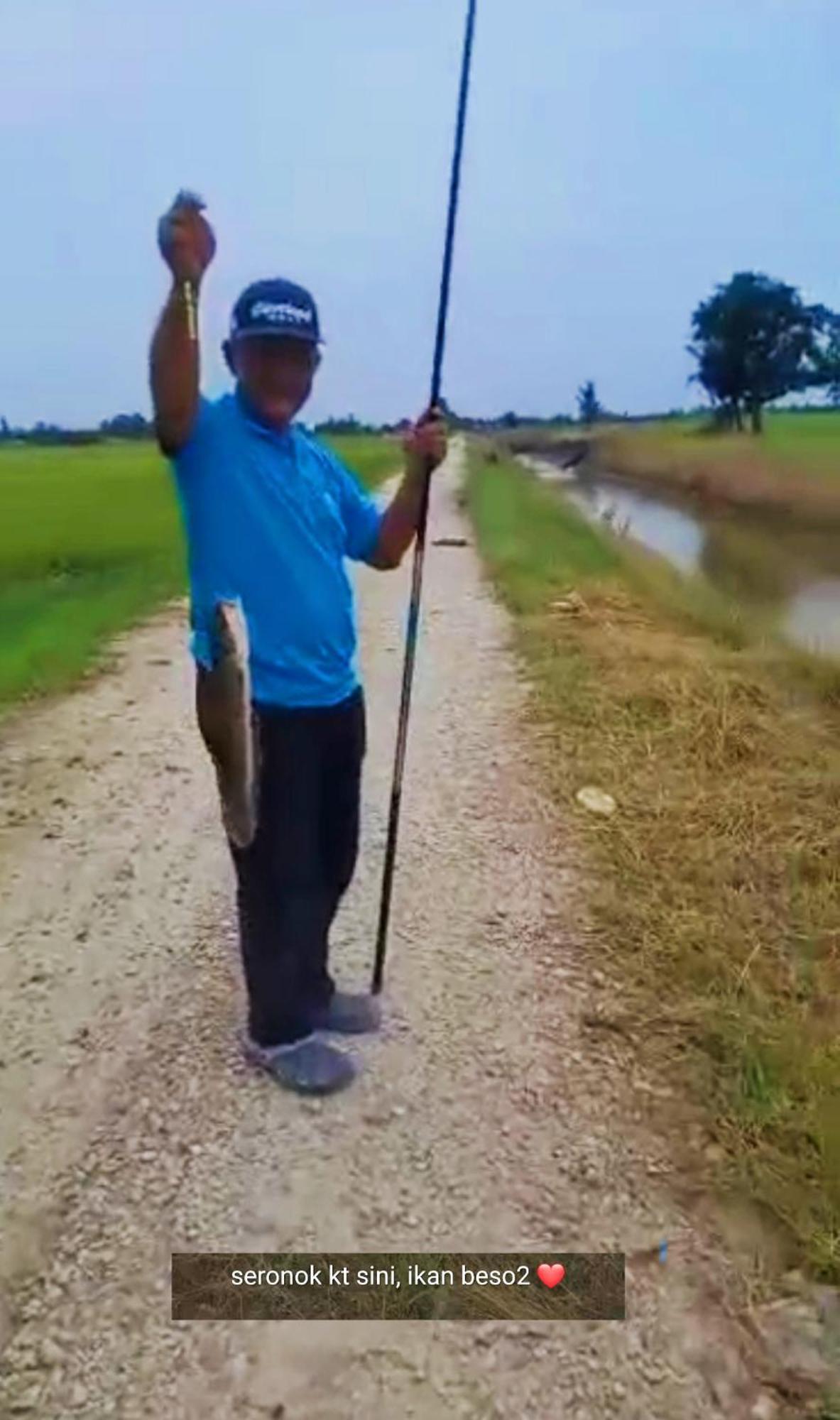 Izz Sawah Padi !
