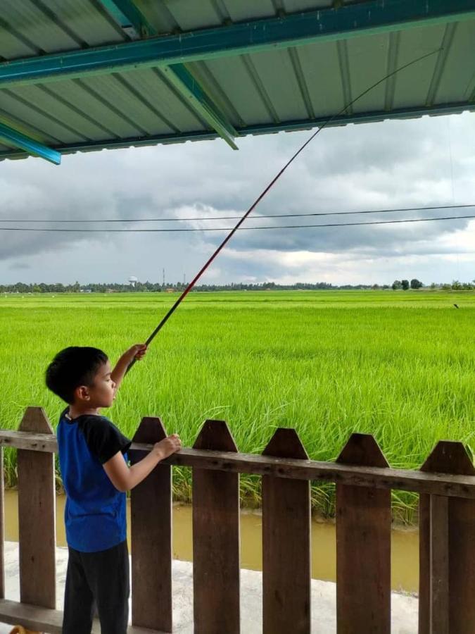 Izz Sawah Padi ! Chalet Sungai Besar