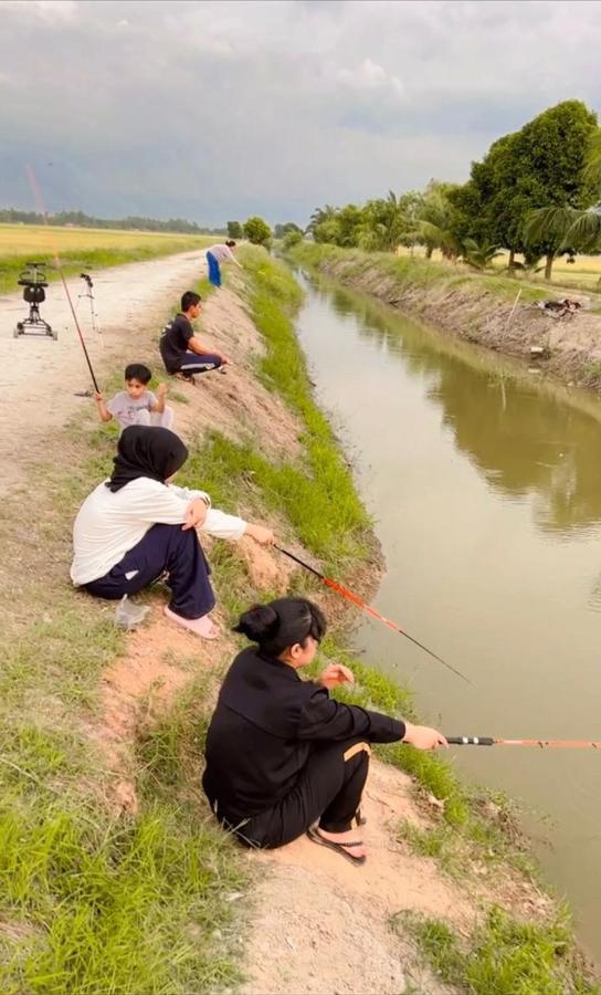 Izz Sawah Padi ! Sungai Besar