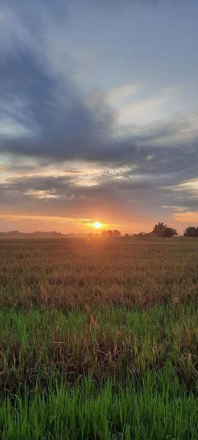 Chalet Izz Sawah Padi ! Sungai Besar