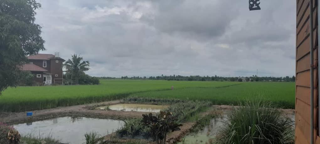 Chalet Izz Sawah Padi ! Sungai Besar