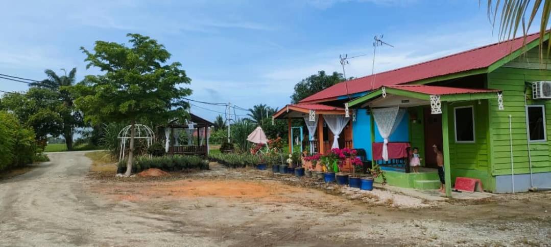 Izz Sawah Padi ! Sungai Besar