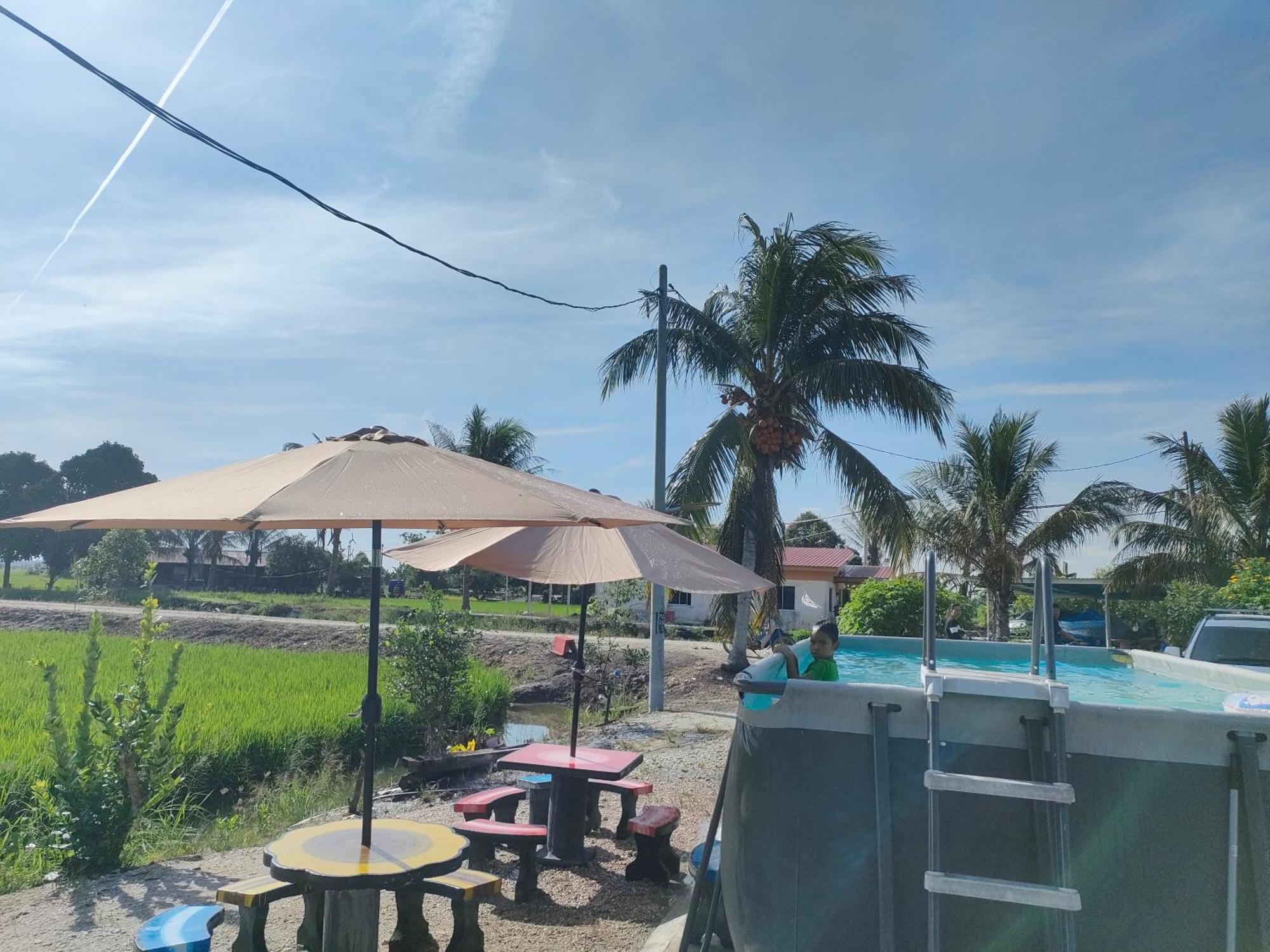 Izz Sawah Padi ! * Sungai Besar